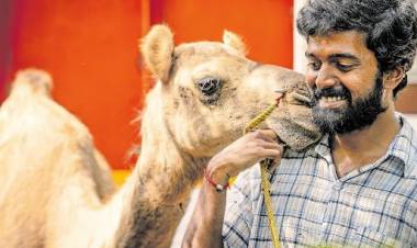 Bakrid Teaser to be Launched with All Praises From the Celebrity Fraternity..!!