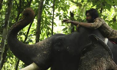 ‘காடன்’, ‘அரண்யா’, ‘ஹாத்தி மேரே சாத்தி’ - மூன்று திரைப்படங்களின் டீஸர் வெளியீடு