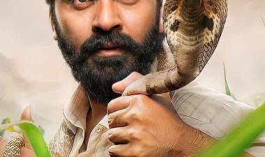 பாம்பை பிடித்த வீடியோ சிம்பு மீதான புகார் குறித்து வனத்துறை விசாரணை