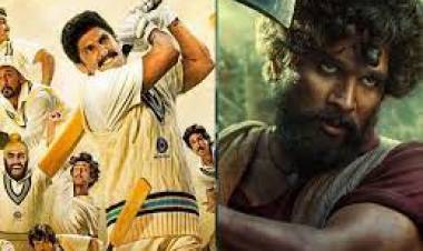 Allu Arjun’s ‘Pushpa’ Hindi rakes in Rs 76 crore, Ranveer Singh starrer ‘83’ earns Rs 94 crore