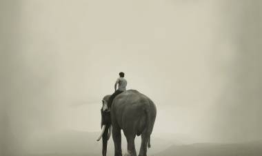 பிரபு சாலமன் இயக்கத்தில் விரைவில் வெளியாகும் கும்கி 2