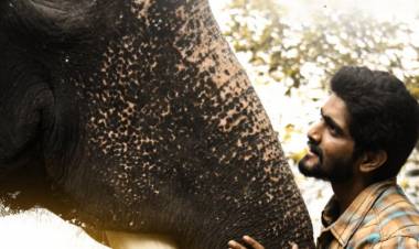 ’கும்கி 2’ பட விமர்சனம் - விமர்சிப்பவர் சென்னை பத்திரிகா சிவாஜி