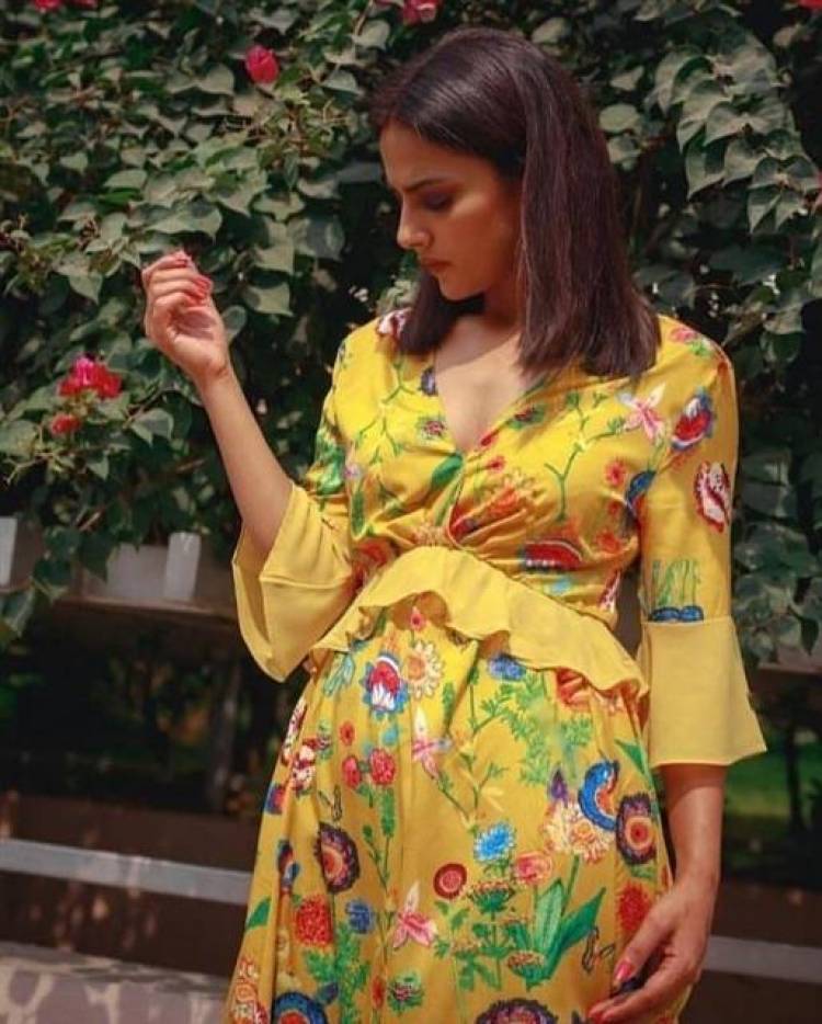 Actress Shraddha Srinath Latest Stills
