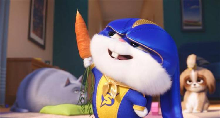 "The Secret Life of Pets 2" - Synopsis & Stills