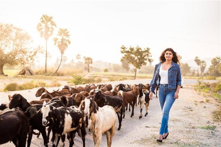 Actress Ashima Narwal Stills