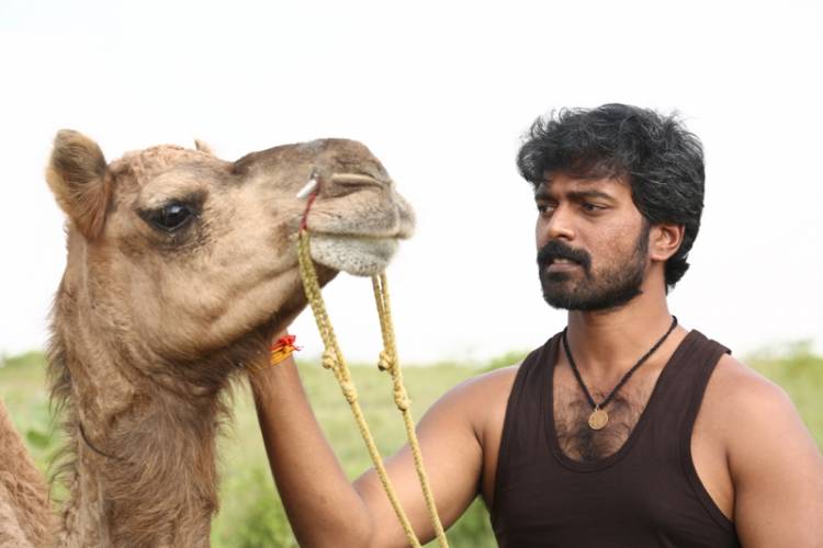 பக்ரீத் போன்று எந்த படமும் வந்ததில்லை, இனியும் வராது - விக்ராந்த்