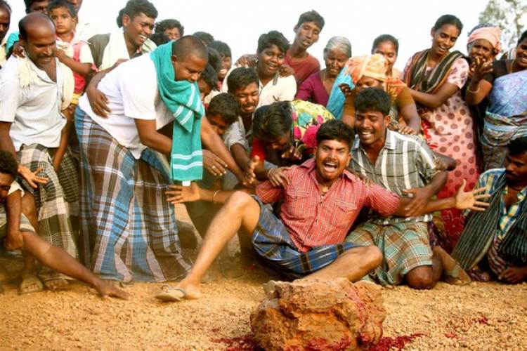 சீமான் நடிக்கும் “முந்திரிக்காடு“