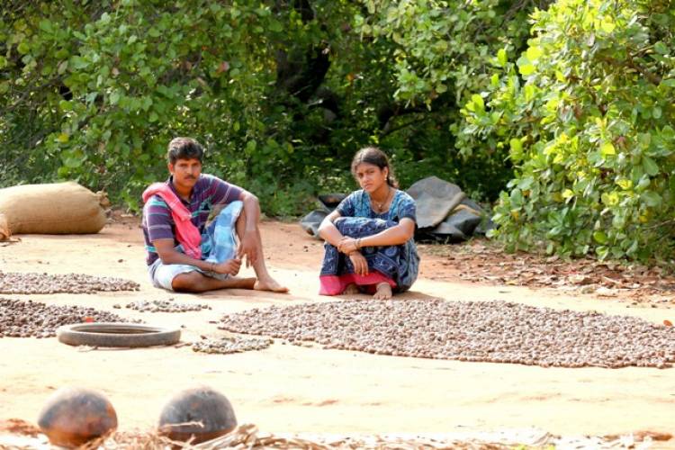 சீமான் நடிக்கும் “முந்திரிக்காடு“