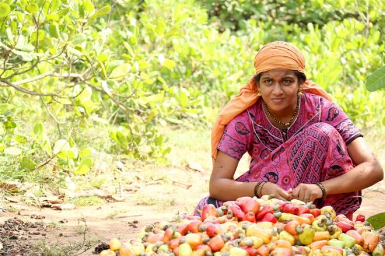 சீமான் நடிக்கும் “முந்திரிக்காடு“