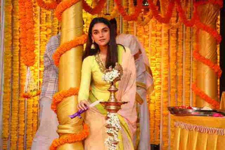 விஜய்சேதுபதி நடிக்கும்  "துக்ளக் தர்பார்"