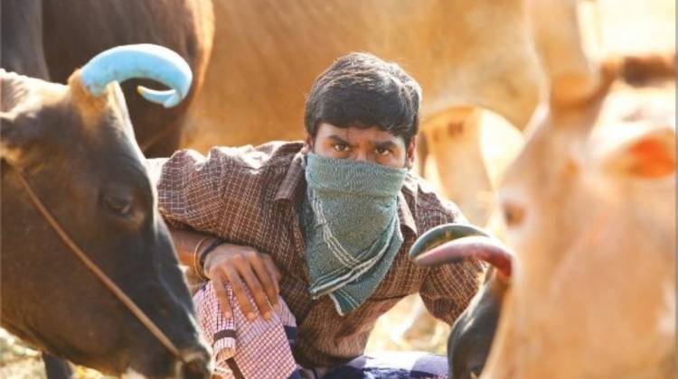 ‘கர்ணன்’  படத்தை  பற்றி  ஒரு  சில  வரிகளில்  சொல்லிருக்கிறார்  இயக்குனர் மாரிசெல்வராஜ்