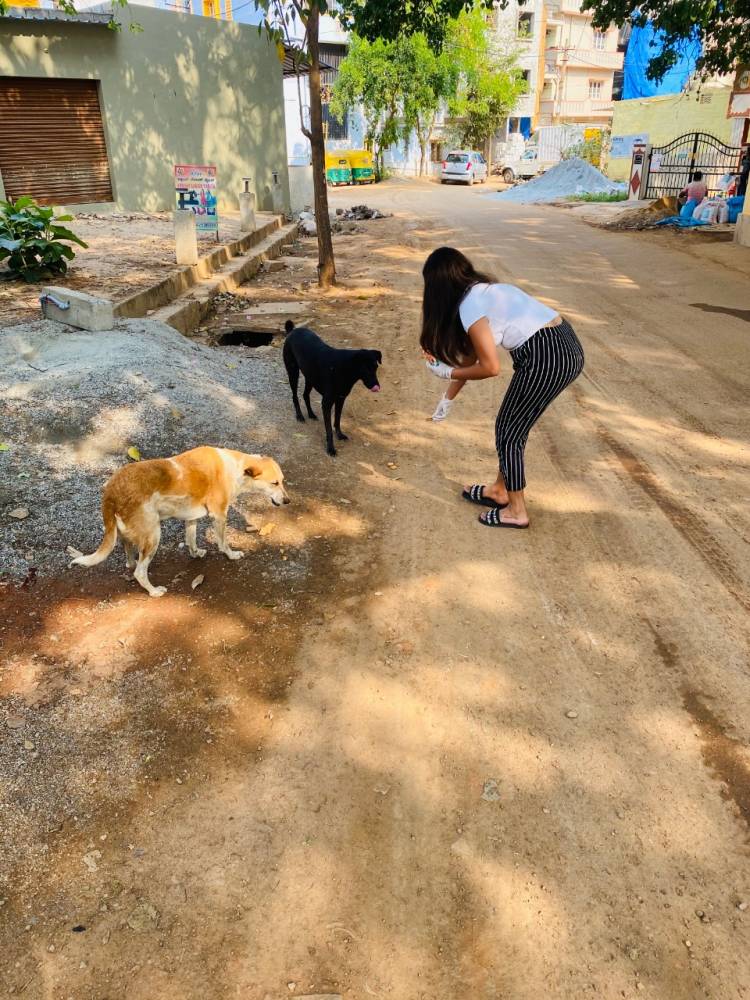 Animals need your help - Cocktail Movie Actress Rashmi Gopinath