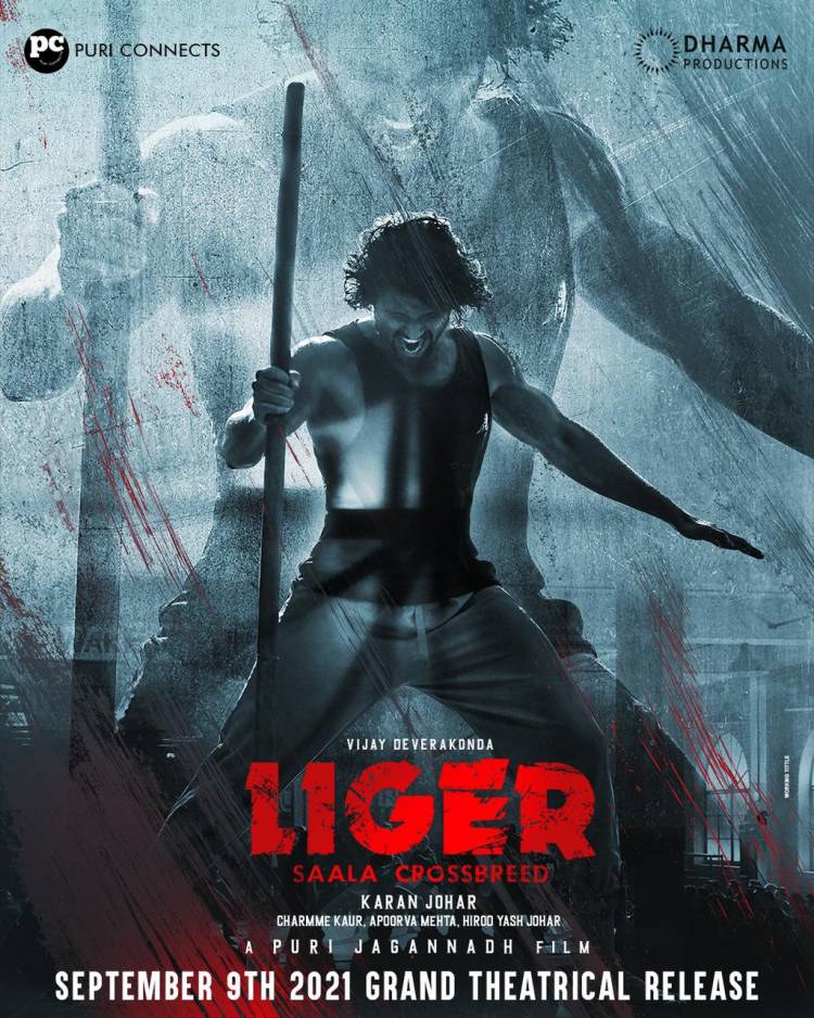 Packing a Punch in Theaters near you on 9th September,2021!