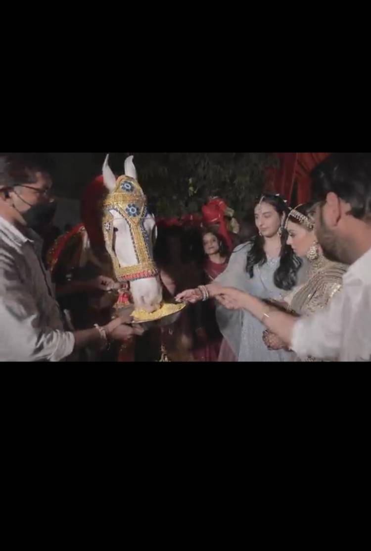 PFA images pertaining to "Actress Hansika Motwani's brother Engagement".