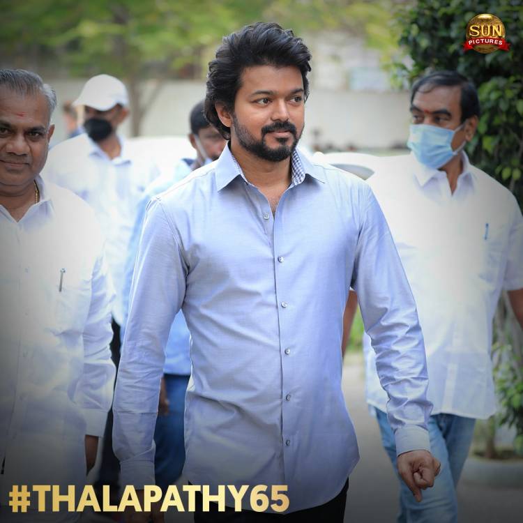 #Thalapathy65Poojai  @actorvijay @sunpictures @Nelsondilpkumar @anirudhofficial @hegdepooja