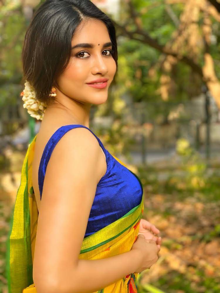 Brilliant radiance in a saree blessing our feeds  #TeluguStar  #NabhaNatesh