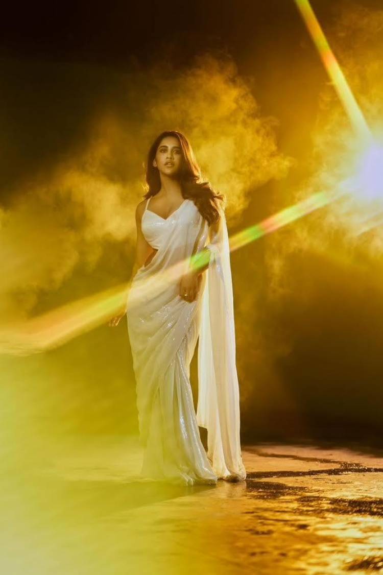 Bollywood debut on the cards for the Telugu star actress Nabha Natesh?