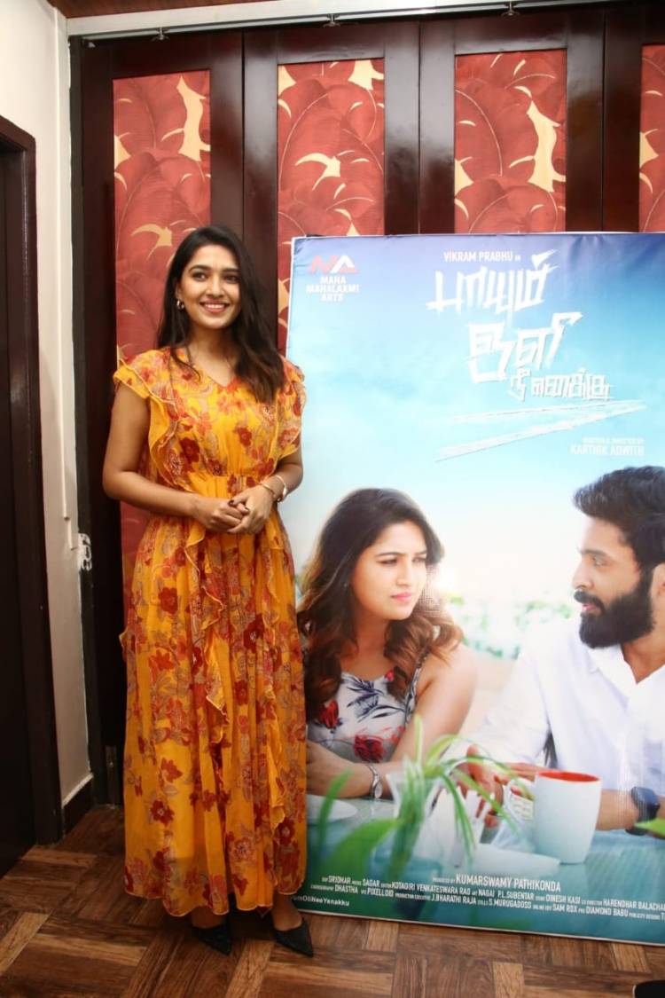 மகா மகாலட்சுமி ஆர்ட்ஸ் பட நிறுவனம் சார்பில் குமாரசாமி பத்திக்கொண்டா தயாரிக்கும் படம் பாயும் ஒளி நீ எனக்கு .