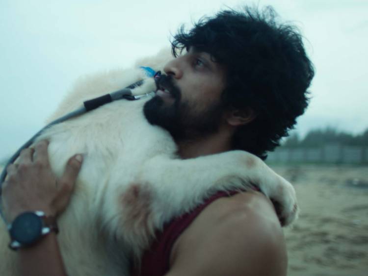 விரைவில் வரவுள்ள, புத்தம் புது காலை விடியாதா... என்ற பல இசையமைப்பாளர் இசைத் தொகுப்பை Amazon Prime Video அறிமுகப்படுத்துகிறது