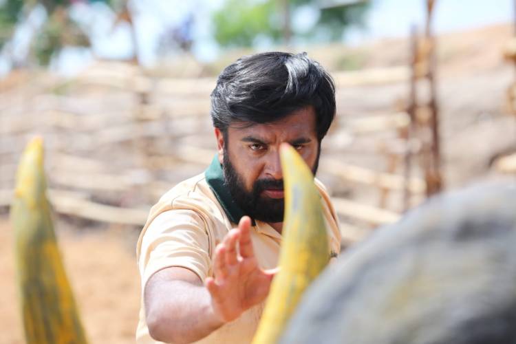 நவ-25ல் வெளியாகும் சசிகுமாரின் ‘காரி’ 