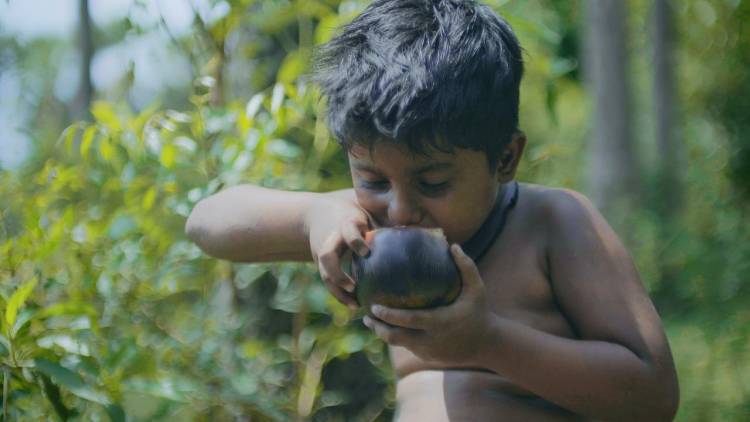 பனையேறிகளின் வாழ்வியலையும் வலிகளையும் சொல்லும் படம் 'நெடுமி'!