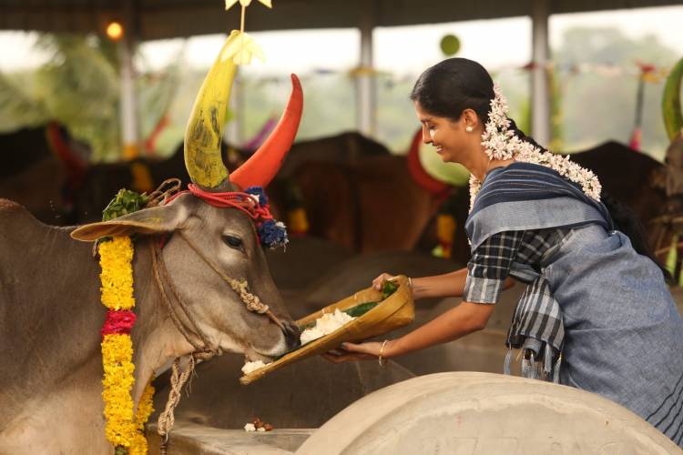 ஆர். கே. சுரேஷ் நடிக்கும் " காடுவெட்டி " சோலை ஆறுமுகம் இயக்கியுள்ளார்.