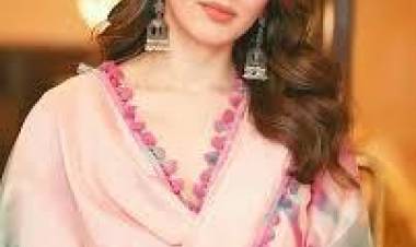 Actor Hansika Motwani, businessman husband Sohael Khaturiya granted divorce