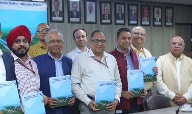 CEA Chairperson Releases IIT Roorkee Report on Pumped Storage Hydropower