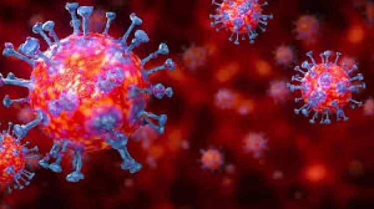 India's virus count over 2.6 lakh, daily spike inching close to 10,000-mark