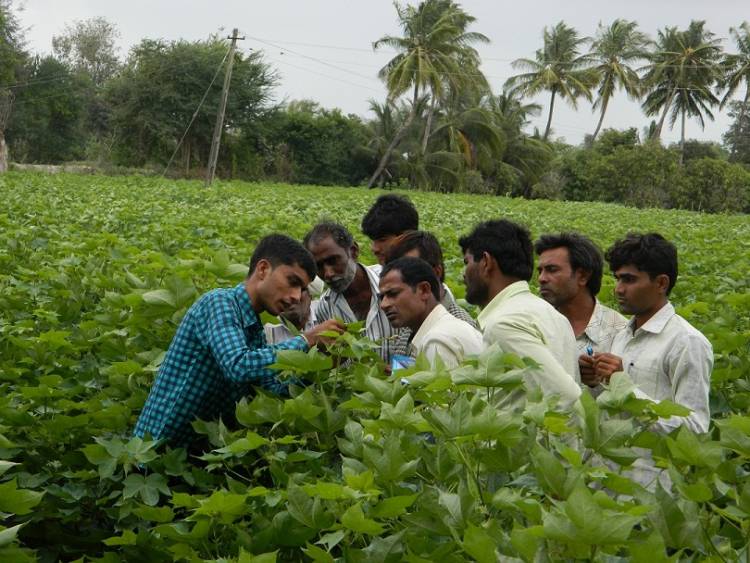 Adaptation of scientific agriculture practices will drive global demand towards Indian cotton farmer   