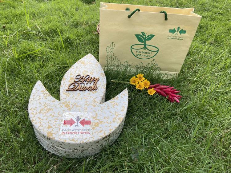 Eco-friendly ‘sprouting’ seed diya this Diwali from East-West Seed India