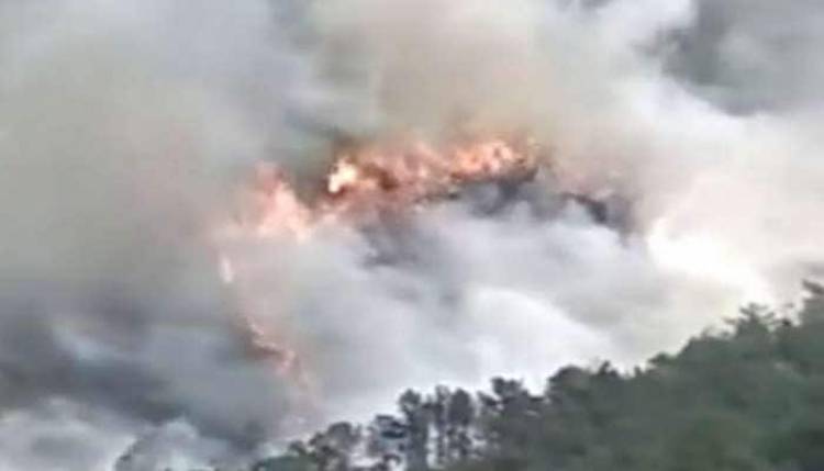 சீனாவில் 133 பயணிகளுடன் சென்ற போயிங் 737 விமானம் விபத்து