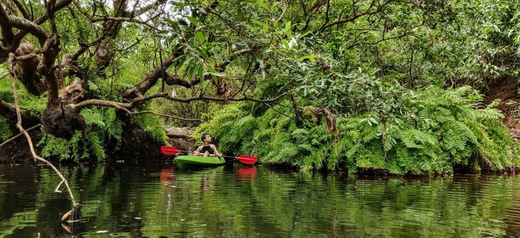 Hey Dad! I got it all figured out! Just like you