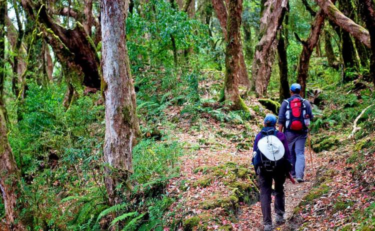 Hey Dad! I got it all figured out! Just like you