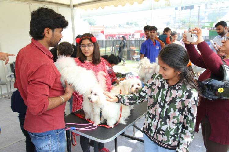 India's biggest Dog and Cat Show: PetGala Delhi organised  at Noida Expo Centre in Delhi-NCR