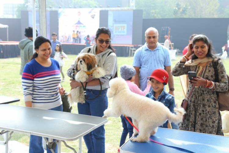 India's biggest Dog and Cat Show: PetGala Delhi organised  at Noida Expo Centre in Delhi-NCR