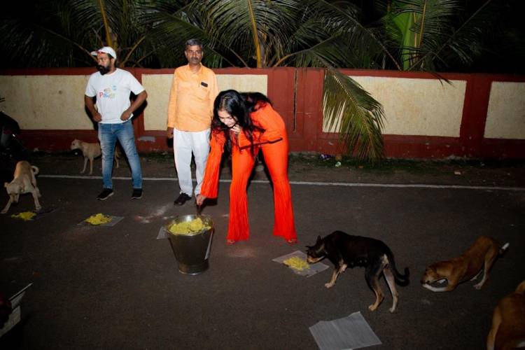 Actress Namitha celebrates her birthday with furry friends at HEAVEN FOR ANIMALS (HFA), Anna Nagar