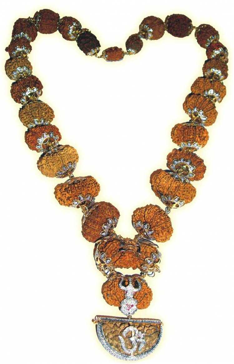 Rudralife is organizing an Rudraksha Exhibition