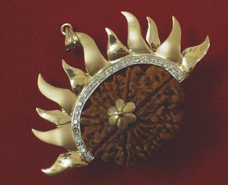 Rudralife is organizing an Rudraksha Exhibition