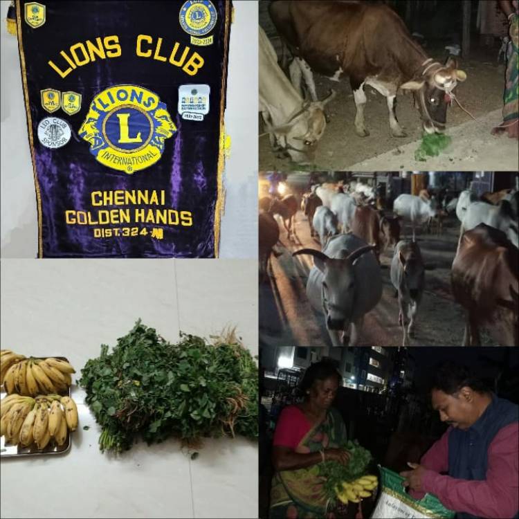 Lions Club of Chennai Golden Hands
