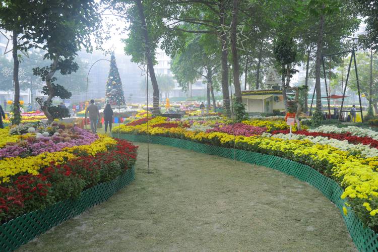 Central Park Unveils a Celebration of Winter Blooms and Community Living