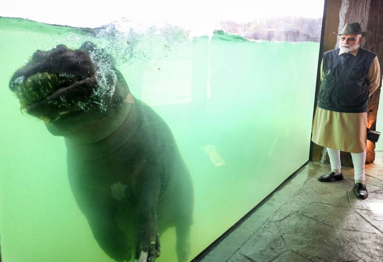 VANTARA FOUNDATION DAY: ONE YEAR AFTER INAUGURATION BY PRIME MINISTER NARENDRA MODI, MANY ANIMALS RESTORED TO HEALTH AND RETURNED TO THE WILD