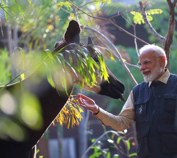 VANTARA FOUNDATION DAY: ONE YEAR AFTER INAUGURATION BY PRIME MINISTER NARENDRA MODI, MANY ANIMALS RESTORED TO HEALTH AND RETURNED TO THE WILD