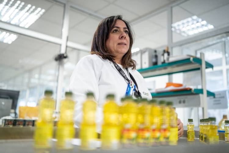 Deoleo advances its recycled plastic goal by five years and increases the volume of its sustainable EVOO to 36%