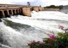 TN seeks release of 9.91 tmcft Cauvery water from Karnataka in June