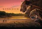 Sony BBC Earth unveils Zambia’s untamed wild in the gripping wildlife drama ‘Kingdom’ premiering 20th July