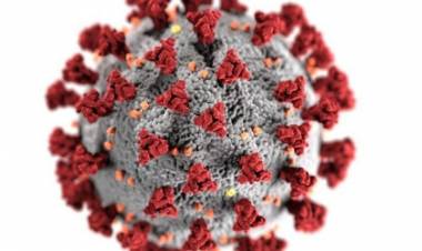 ஜப்பானில் கோவிட் தொற்று