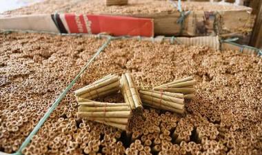 திண்டுக்கல்லில் பிரபல பீடி கம்பெனியின் பெயரில்  போலி பீடிகள்  தயார் செய்து விற்பனை.