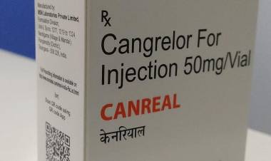 MSN Labs launches a new drug for percutaneous coronary intervention