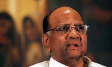 Not worried about guests at home, says Sharad Pawar on I-T raids